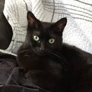 Meet your Posher, Mckenzie